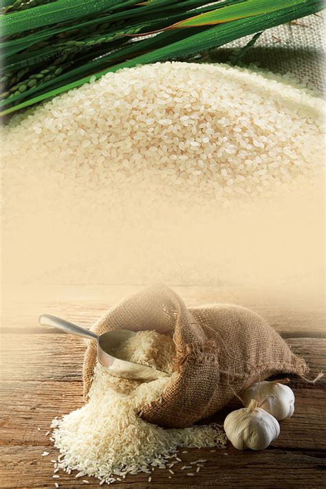 简约五谷粮食大米海报背景素材背景图片素材免费下载_熊猫办公