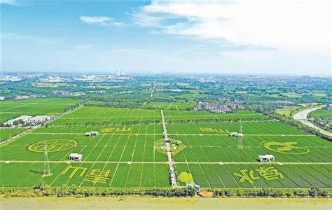 惠山创建国家现代农业产业园 以阳山水蜜桃和叶菜为主导产业