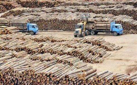 中国最大的木材批发市场 满洲里木材批发市场_53货源网