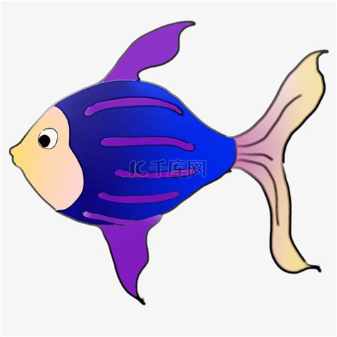 紫鱼图册_360百科