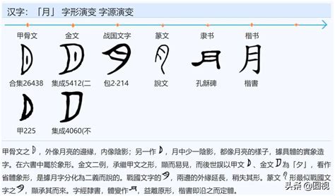 ”汉字构成“书籍设计|平面|书籍/画册|milkmiu - 原创作品 - 站酷 (ZCOOL)