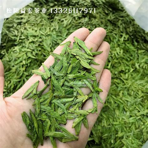 桂东玲珑茶绿茶批发零售_湖南郴州__绿茶-食品商务网