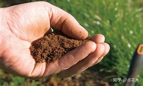 jiffy 国产无纺布压缩泥炭块栽培育苗营养块 土壤介质基质营养土-阿里巴巴