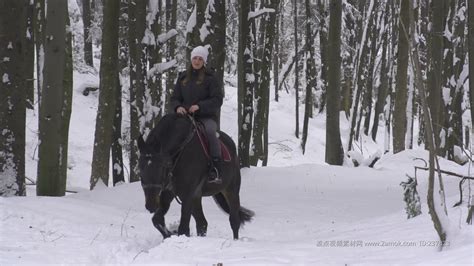 90后骑马女子，擅长骑马、训马，称：只要驯服它，它能日行千里_腾讯视频