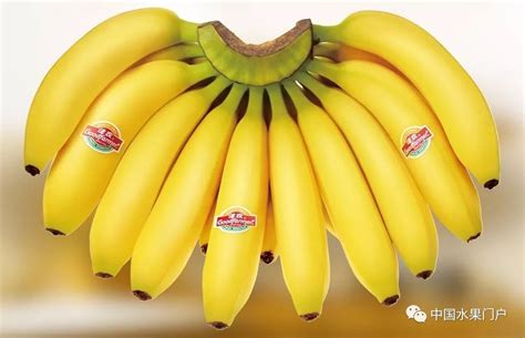 【重发】中国佳农香蕉实业与菲律宾Anflo集团旗下香蕉种植子公司达成协议，两年内将获84万箱A级更高品质香蕉流入至中国市场