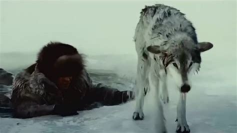 狼：万物皆有灵，狼若回头，不是报仇，便是报恩！