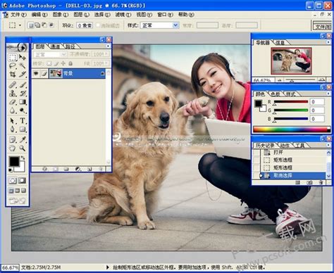 photoshop下载_photoshop官方免费下载_2024最新版_华军软件园