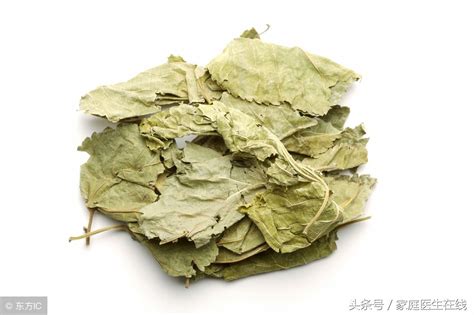 桑叶茶-【桑叶茶】