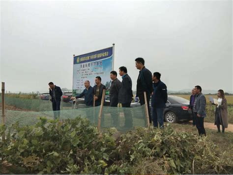 市农技推广中心组织新进人员开展调研和实践活动_滁州市农业农村局