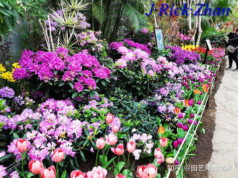 草花，让公园草坪景观“锦上添花”-花卉百科-绿宝园林网