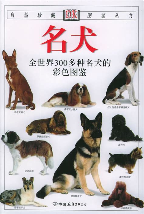 宠物犬图片带名字,宠物犬图片,宠物犬种类及图片_大山谷图库