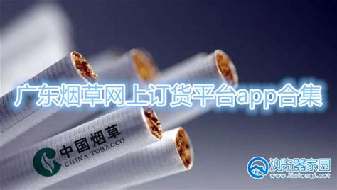 2023年贵州贵烟香烟价格表汇总一览（多少钱一盒） - 择烟网