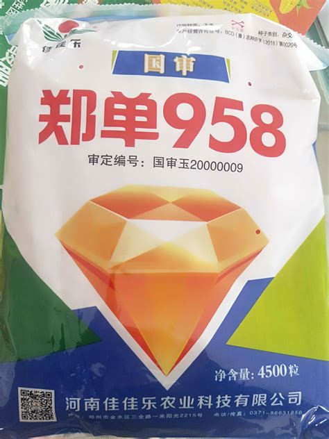 郑单958_玉米种子高产品种大全 - 随意云