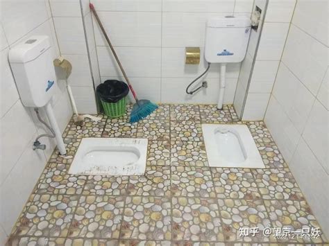 奇葩厕所设计大赏，你来告诉我要怎么上？