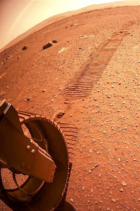 适应火星环境的人与我们有区别,人类在火星上会发生什么变化?|火星|人类|重力_新浪新闻