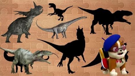 亲宝恐龙时代大冒险：撞击恐龙的对决，肿头龙的对决，宝宝恐龙认知趣味动画