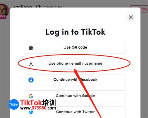 TikTok网页版入口-Make Your Day – TikTok - 含义词