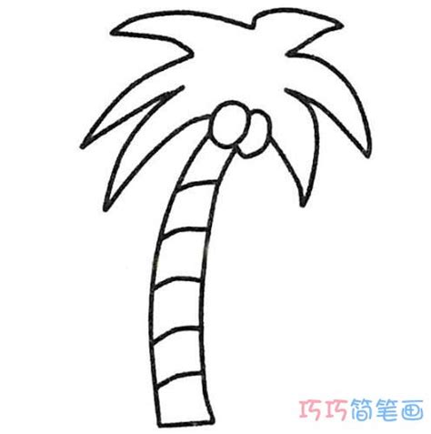 椰子树简笔画大全椰子树的画法步骤图 - 巧巧简笔画