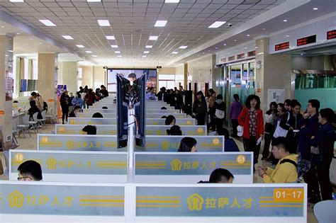 2023年北京就业援藏专场招聘会在拉萨举办 782个优质岗位向西藏籍毕业生开放_援藏信息_拉萨市人民政府