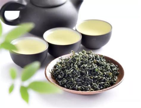 喝绿茶有什么好处 喝绿茶的好处与功效_绿茶的功效与作用_绿茶说