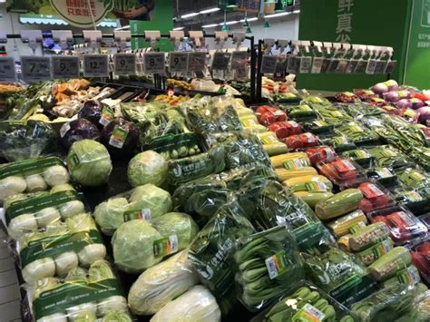 应季蔬菜大量上市 品种丰富物美价廉 - 汕头日报 - 汕头经济特区报社大华网