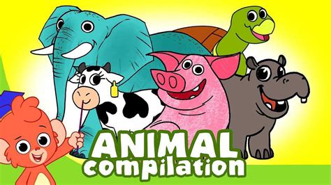 宝宝学习英语单词：学习动物单词认识动物
