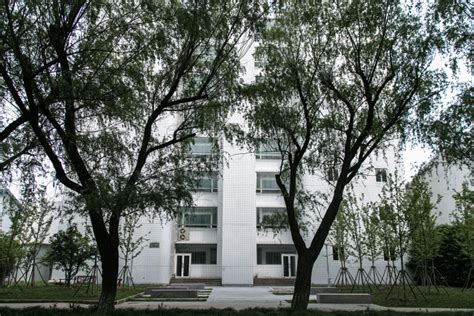 上海同济大学四平路校区景观-同济大学建筑设计研究院-学校案例-筑龙园林景观论坛