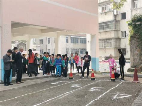 有效预防H7N9禽流感的方法-本校新闻-枞阳县枞阳小学