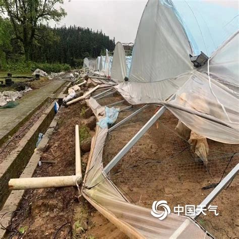 江西宜丰遭遇强对流天气 大风吹袭造成蔬菜大棚垮塌-图片-中国天气网
