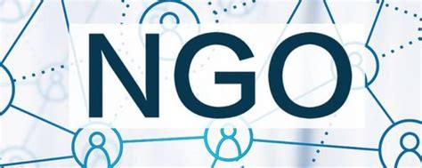 NGO发展简报_系统开发-程序员客栈
