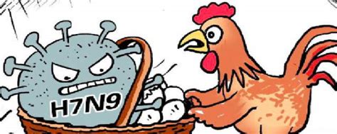 麻烦了！ “史上最严重”，近十个国家爆发禽流感！超过5230万只禽类被宰杀...... — 搜航网