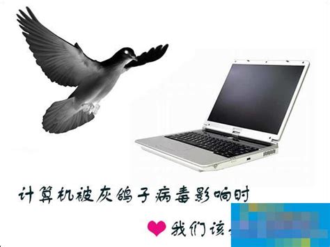 灰鸽子病毒发展简史与前世今生 (3)--IT--人民网