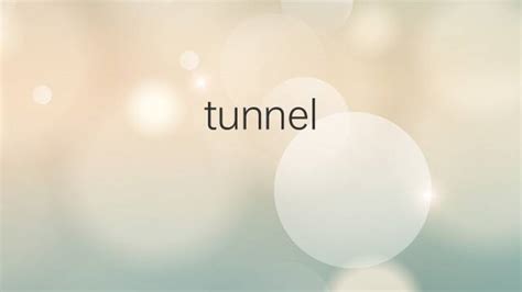 tunnel vision是什么意思 tunnel vision的中文翻译、读音、例句-一站翻译