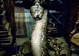 《神奇动物》北美终极预告 伏地魔爱宠蝰蛇纳吉尼_凤凰网