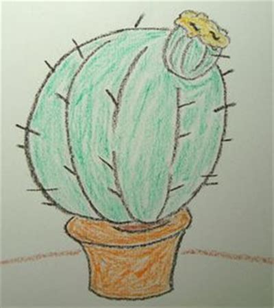 6-9岁简笔画教程 涂色仙人球怎么画（猫简笔画） - 有点网 - 好手艺