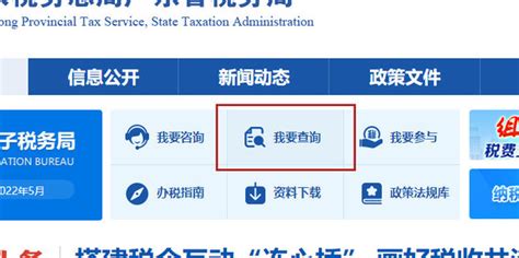 江苏国税电子税务局操作视频——门户登录