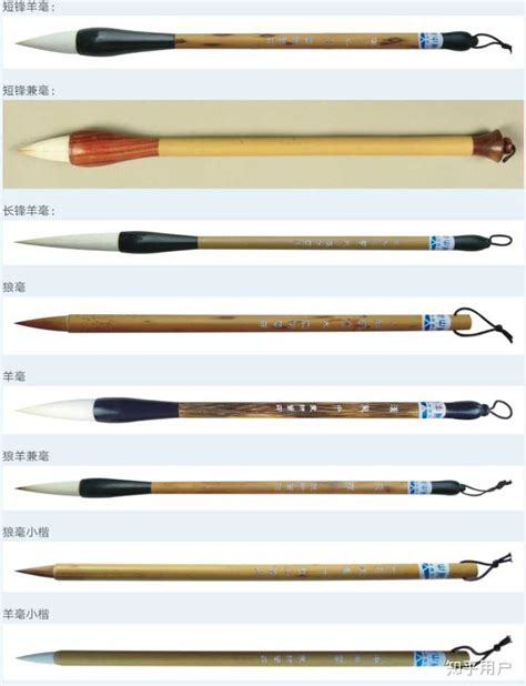 毛笔的种类和选笔标准_书法欣赏_词典网