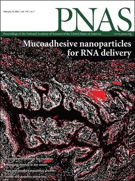 科学网—[转载]PNAS封面论文：谢恬教授团队最新研究成果——开创榄香烯mRNA药物整合治疗肿瘤新策略 - 聂广的博文