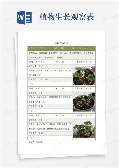 植物观察日记生长记录表Word模板下载_编号qmayydga_熊猫办公