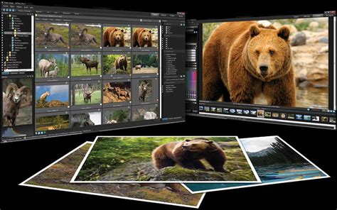 Acdsee photo manager 10.0 rus msi : pieseci