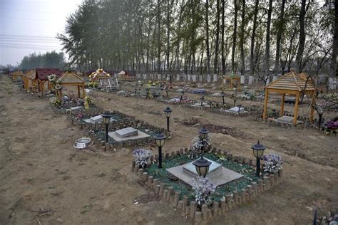 探访苏州宠物“火葬场”：4380余个日夜，1000多场别离。_殡葬