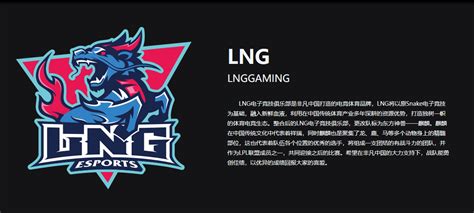 2020_LNG战队_LOLLNG战队介绍_LNG战队成员名单2020_3DM网游