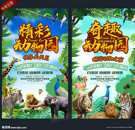 蓝绿色插画清晰森林奇趣动物园海报图片下载 - 觅知网