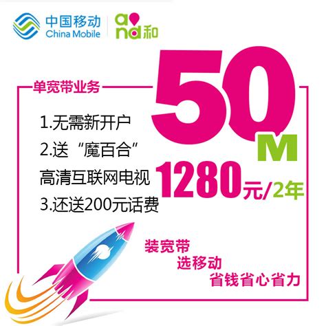 上海20m宽带多少钱一个月 - 随意云