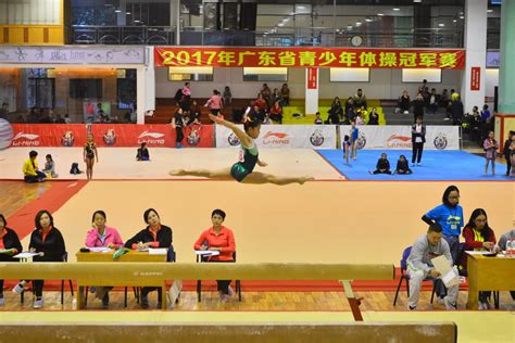 读创--2019年国际体联体操世界杯挑战赛在肇庆落幕 中国队成大赢家！