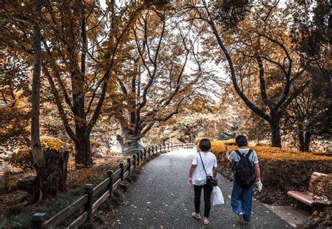 秋田森林公园里散步旅行者摄影图高清摄影大图-千库网