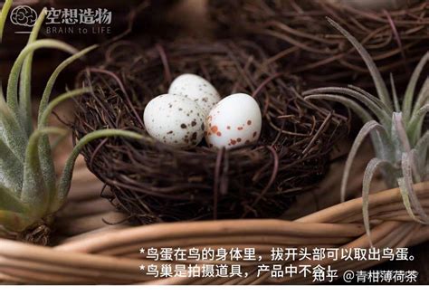 盲兽影评很好看