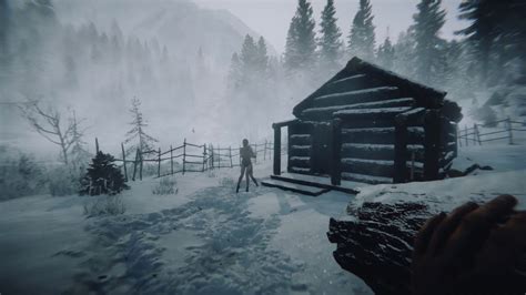 图片[2]-森林之子：正式版  可联机 赠全收集存档+修改器 解压即玩-天机阁