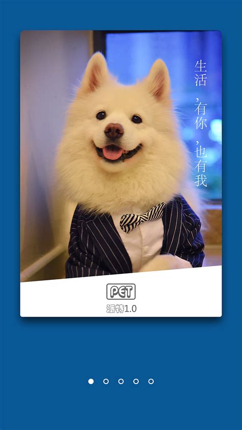 好用的宠物狗买卖合同范本【通用版】Word模板下载_编号lypxgjrq_熊猫办公