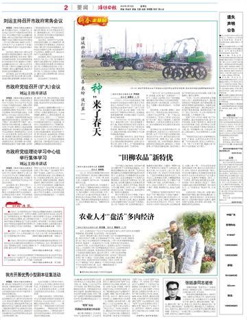 安丘市石埠子镇 打好经济发展“组合拳”--潍坊日报数字报刊